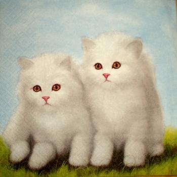 070 Cats - 3-ply - Paw